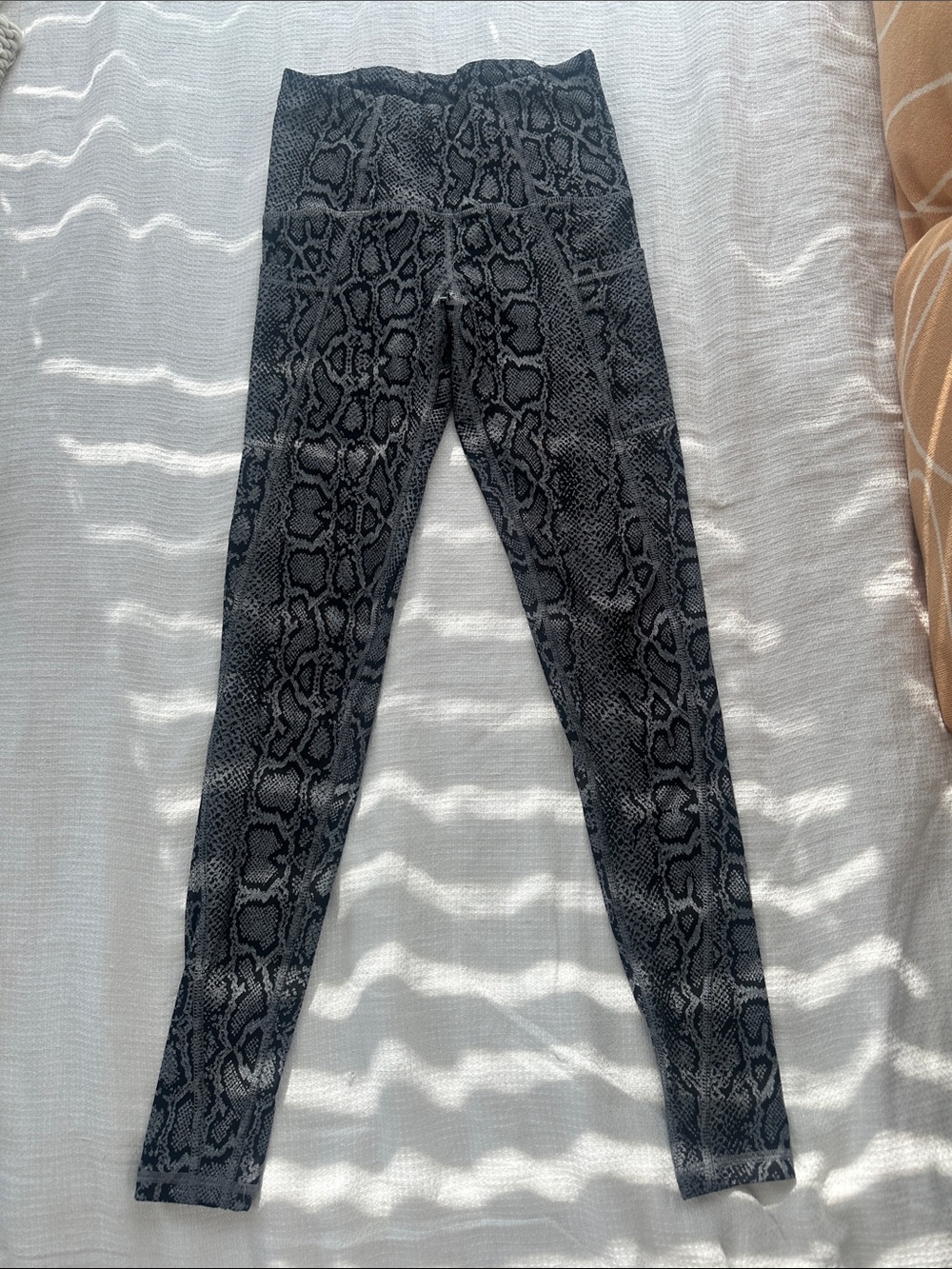 Champion Black and Gray Snake-Print Leggings